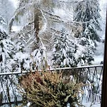 Krokiew