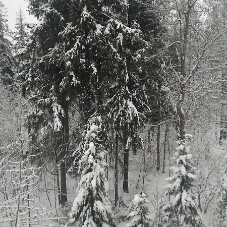 Krokiew