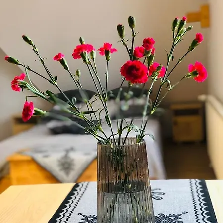 Krokiew Апартаменты